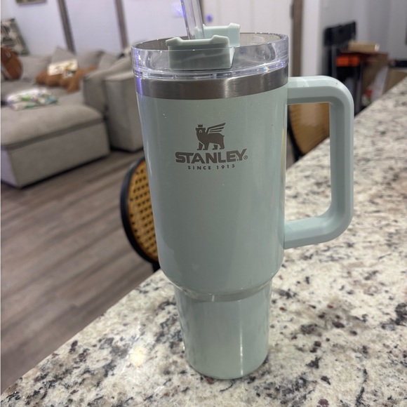 Stanley Other - Stanley Mint Green quencher